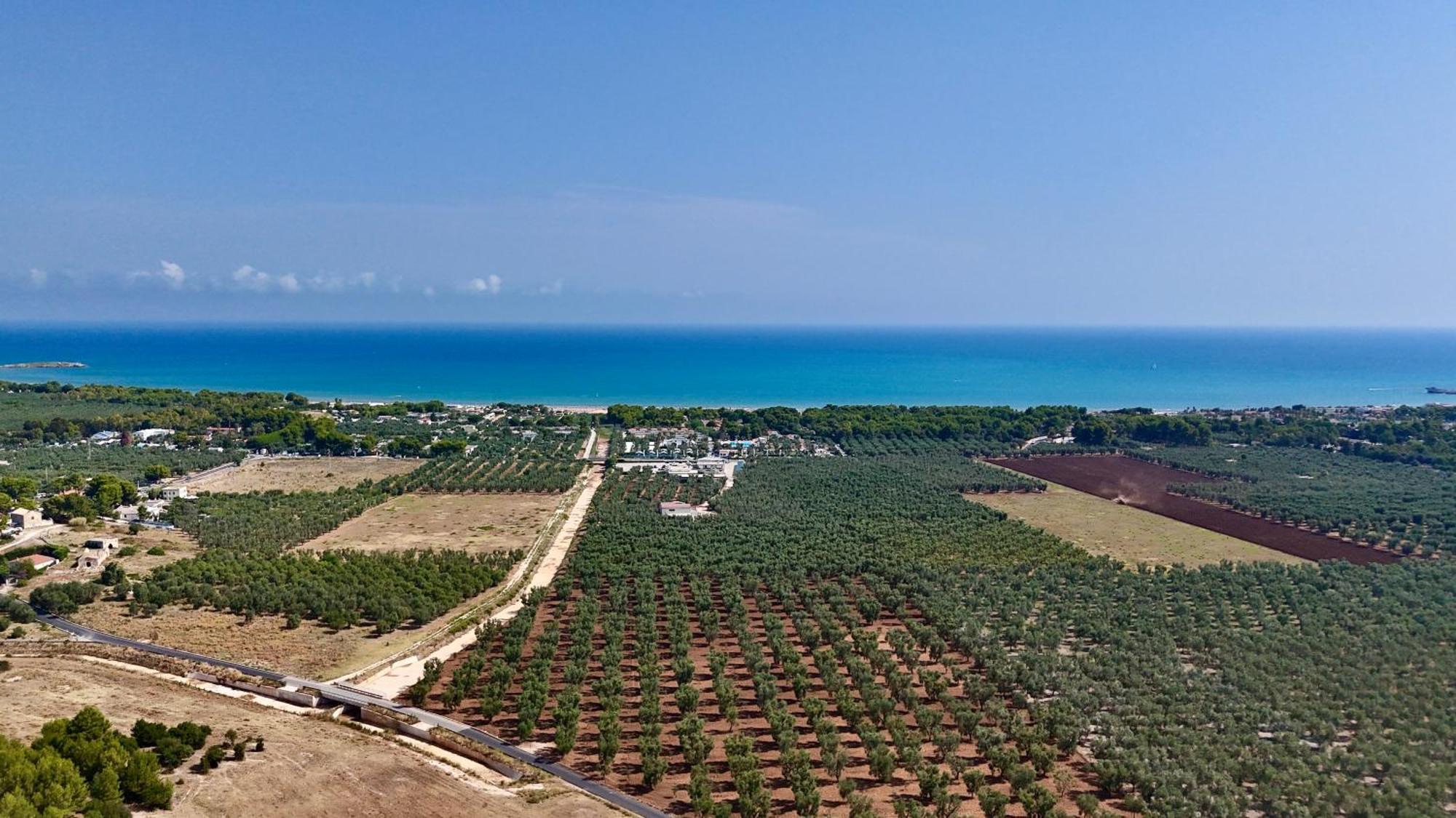 Villa Amica Vieste Exteriér fotografie